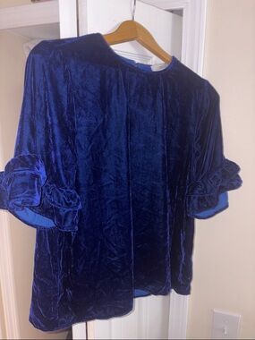 Greylin Royal Blue Velvet Ruffle Sleeve Top